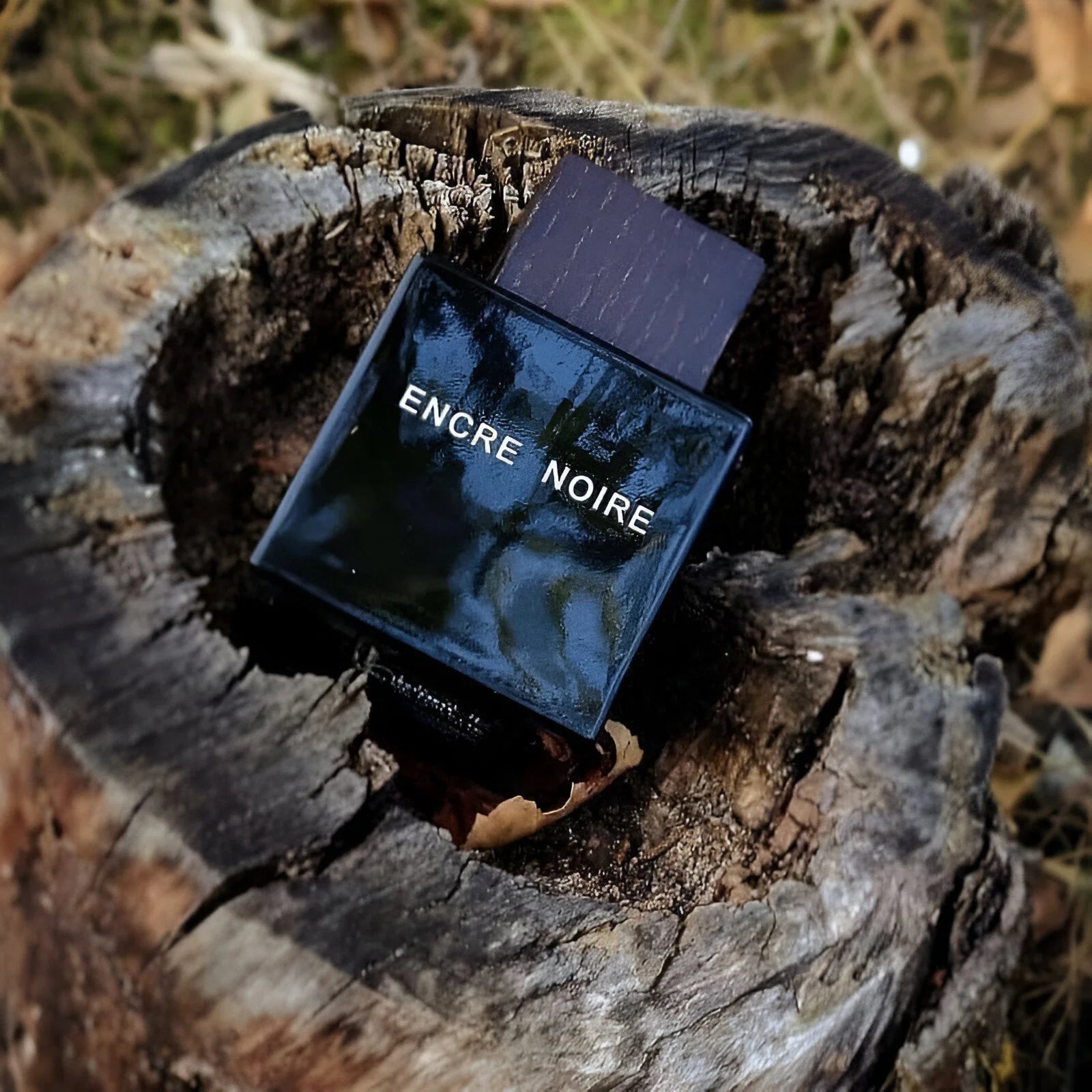 Lalique Encre Noire For Men EDT 100ml